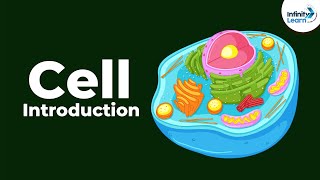 Cells  Introduction  Biology  Dont Memorise [upl. by Gosselin792]