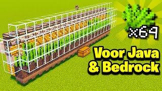 Zo maak Je Een SuikerrietSugar Cane Farm In Minecraft [upl. by Netty]