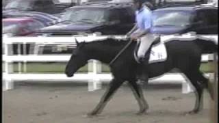 Liberty Bridleless Jumping 33quot 36quot horse jumping bridleless riding [upl. by Nahtonoj]