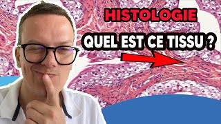 HISTOLOGIE  TUTO  Comment reconnaître les tissus  OUTIL [upl. by Servetnick987]