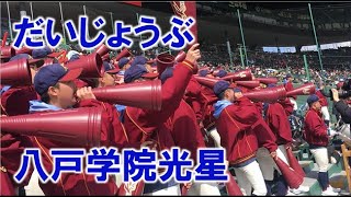 八戸学院光星の応援『だいじょうぶ』Vs関東一戦 2024318 甲子園球場 [upl. by Ehcropal]