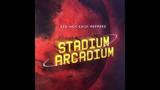 Red Hot Chili Peppers  Chorzow Jam [upl. by Eceinart]