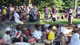 Prospect Park Drummers Grove all summer long❤ subscribe prospectpark brooklynnyc [upl. by Angle414]