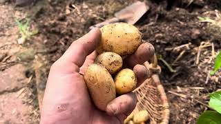 Potager productif sur 100m2 [upl. by Etnoek142]