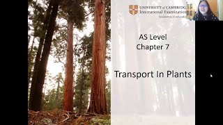 Chap 7 Part 1a  Plant Anatomy Xylem and Phloem  Cambridge ALevel 9700 Biology [upl. by Nomolas]