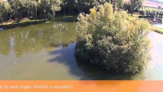 The Carp Specialist  Het Broek  Carp Lake  An areal view [upl. by Sophia]