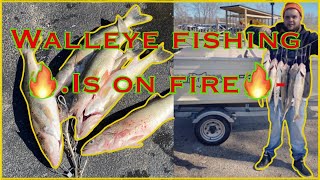 Walleye Fishing Maumee River Walleye Run [upl. by Stclair]