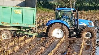 MOKRÉ SILÁŽE 2024MUDDY SILAGE [upl. by Gerstein]