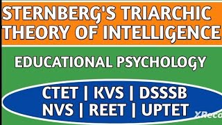 Sternbergs Triarchic Theory Of Intelligence [upl. by Eanrahs193]