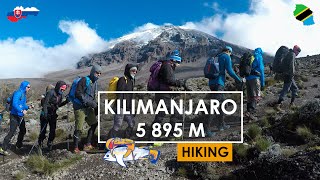 KILIMANJARO 5 895 m  Climbing the Highest Peak of Africa  4K  TravelingTunas Expedition 🐟 [upl. by Acirt]