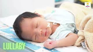 🔴Lullaby For Babies To Go To Sleep ♫ Mozart Brahms Lullaby  Lullaby for New Born Baby [upl. by Wing]