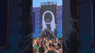 Creamfields 🇨🇱 2024  Steve Aoki  PXL 20241117 222229054 [upl. by Dixie]