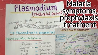 plasmodium vivax full notes  2 [upl. by Netnerb377]