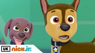 Paw Patrol  Sing Along Friendship Song  Nick Jr UK [upl. by Eerehc]