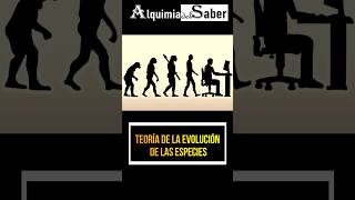 Teoría de la evolución de las especies  Alquimia del Saber  Sh58 prehistoria curiosidades [upl. by Eicrad]