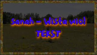 sanah  Wiśta wio TEKST [upl. by Willow]