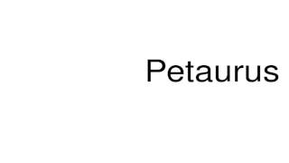 How to pronounce Petaurus [upl. by Murray]