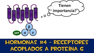 Receptores acoplados a proteína G  metabotropicos [upl. by Lotty187]