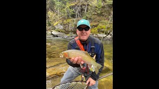 Idaho Fly Fishing Fall 2023 [upl. by Hollyanne98]