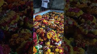 Bathukamma nimmazzanam saddulabathukamma bathukamma 2024 [upl. by Manton]