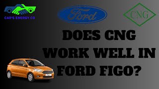 DOES CNG WORK WELL IN FORD FIGO [upl. by Eliga]