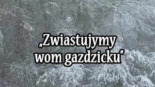 Zwiastujymy wom gazdzicku  Pastorałka w wykonaniu Scholi Św Marcina [upl. by Moorefield875]