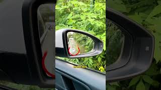 part1Learn to read doorknobs and save 1000 automobile driving funny [upl. by Goody]