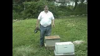 NJ State Apiarist Remediation of Foul Brood [upl. by Oilerua]