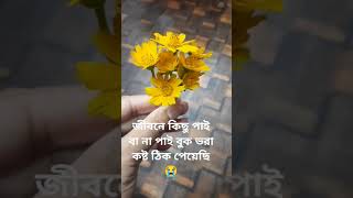 জীবনে বুক ভরা কষ্ট ঠিক পেয়েছি🥲shortvideo foryou ashachilomonemone [upl. by Giffy]