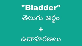 Bladder meaning in telugu with examples  Bladder తెలుగు లో అర్థం Meaning in Telugu [upl. by Neau448]