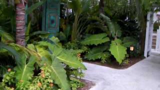 Walkthrough of the Pools at Parrot Key Resort [upl. by Telford]