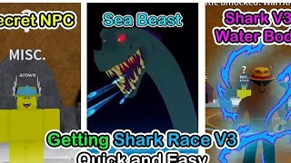 how to get shark race v3 bloxfruit  showcase east Guide 2024 bloxfruits roblox sharkv3 [upl. by Akima4]