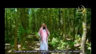 Les Histoires des Prophètes E24 Sulayman Salomon ✔ By IslaMusliMovie [upl. by Acherman880]