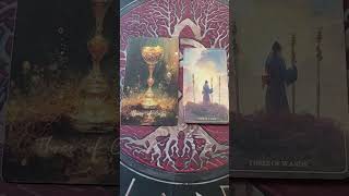 Porada dnia tarot tarotdzienny czytanienadziś rozwójducha [upl. by Bard]