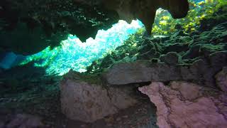 Cenote Nic Te Ha  Mexico part 1 [upl. by Eatnhoj]