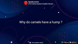 Why do camels have a hump [upl. by Evanne640]