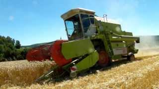 HDWeizen dreschen mit Claas Dominator 68 [upl. by Muns824]