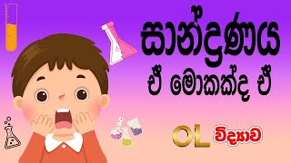 🏹විභාගෙට එන ප්‍රශ්න කලින්ම බලමු 🏹 Grade 11 Science  Grade 10 Science10 විද්‍යාව11 විද්‍යාව [upl. by Eamon]