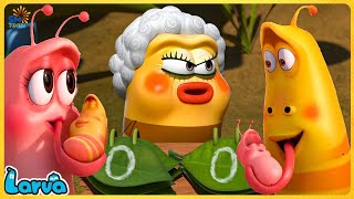 LARVA FAMILY BEE PINK AND YELLOW  FUNNY CLIP 20245 🍕 60min  Cartoon Comedy video by LARVA [upl. by Bunting881]