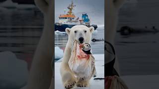 A touching film about a bear cub who asks for help from a sailor to save his friend from danger [upl. by Ocir460]