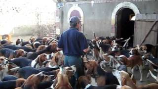 Preparing to Feed the Hounds of Château de Cheverny [upl. by Adnicaj31]