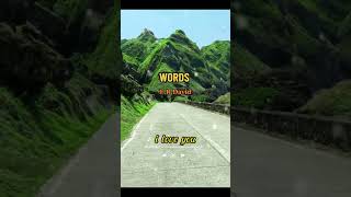 Words Dont come easy FRDavid music love song lyrics video [upl. by Willock]