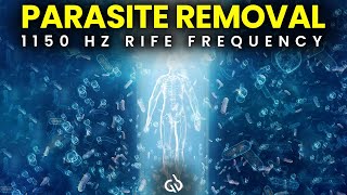 Parasite Removal Frequency 1150 Hz Rife Frequency to Cleanse Parasites [upl. by Gnirps]