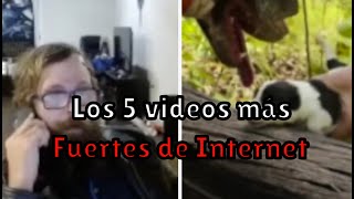 Los 5 videos mas fuertes de Internet [upl. by Nnaer]