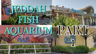 Most giant Fish Aquarium Saudi Arabia Fakieh Aquarium Jeddah Popular Tourist Place Aquarium Vlog [upl. by Aniela]