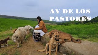 ¡AY DE LOS PASTORES 📖🐑🕊🌏🌎🌍🇮🇱🔥 [upl. by Nuawad]