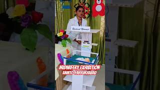 ANMTC Farrukhabad  Midwifery Exhibition hand made by students anm firozbi [upl. by Noeled]