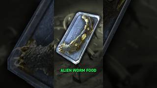 Fallout’s Worst Food [upl. by Tamqrah562]