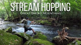 Stream Hopping SMOKY MOUNTAIN TROUT SLAM Fly Fishing Late Spring  Episode 1 [upl. by Swamy]