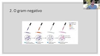 Gram Negativos Resistentes [upl. by Vories]